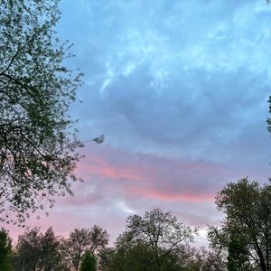 Meet your Posher, Lena